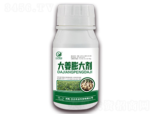 大姜膨大劑-日正農(nóng)科
