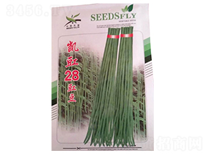 �P��28-���ǷN��-����N�I(y��)