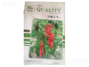 �콷��̖F1-�����N��-����N�I(y��)