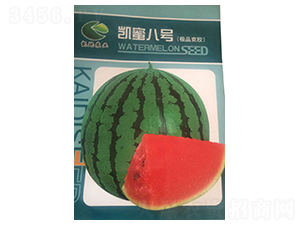 �P�۰�̖-���ϷN��-����N�I(y��)