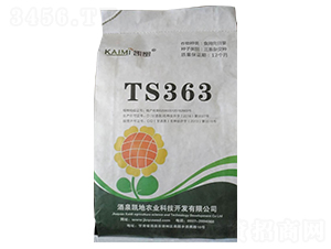 TS363���տ��N��-����N�I(y��)