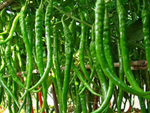 �ؼ�(x��)6-�����N��-�r(n��ng)֮��