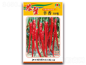 ����19̖-�����N��-�r(n��ng)��