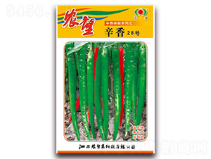 ����28̖-�����N��-�r(n��ng)��