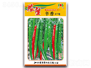 ����37̖-�����N��-�r(n��ng)��