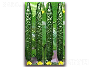 ֮��(r��n)һ̖(h��o)-�S�ϷN��-�r(n��ng)֮��(r��n)