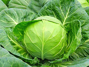 �K��25-���{�N��-�н��N�I(y��)