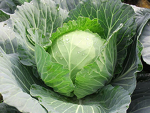 �K��28-���{�N��-�н��N�I(y��)