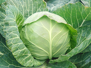 �K��35-���{�N��-�н��N�I(y��)