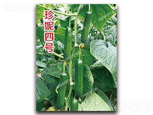 ������̖-С�S�ϷN��-�ϰľG��