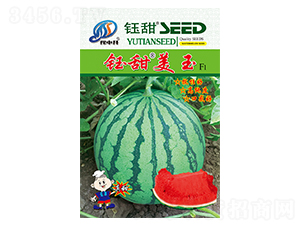 鈺甜美玉-西瓜種子-中升農業(yè)
