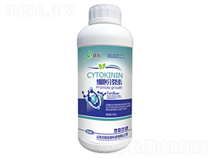 ����������-���R-ؐ������ 