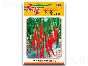 ����24̖(h��o)-�⽷�N��-�r(n��ng)��