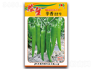 ����22̖(h��o)-�⽷�N��-�r(n��ng)��