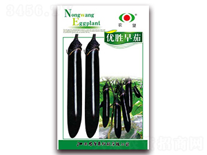 優(yōu)勝早茄-茄子種子-農(nóng)望