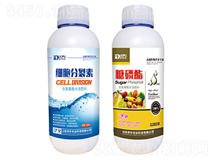 ����������+������-�����Ƽ� 