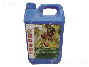 櫻桃專(zhuān)用液體肥-櫻桃顆顆紅-寶世博