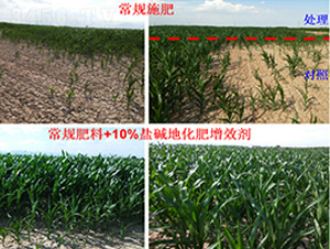 �}�A�ظ�����Ч���D-�����S