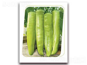 ����-�����N��-����(y��u)�r(n��ng)�I(y��)