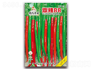 ����88-�����N��-����(y��u)�r(n��ng)�I(y��)