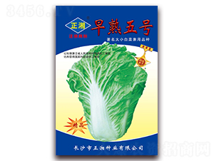 ����5̖(h��o)-�ײ˷N��-����N�I(y��)