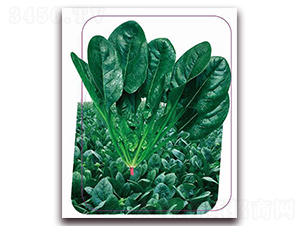 ����6̖(h��o)-���˷N��-����(y��u)�r(n��ng)�I(y��)