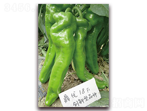 ����(y��u)18-�����N��-����(y��u)�r(n��ng)�I(y��)