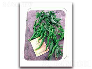 ���}-�����N��-����(y��u)�r(n��ng)�I(y��)