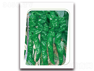 ����һ̖-�����N��-����(y��u)�r(n��ng)�I(y��)