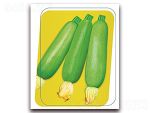 ����-�����J�N��-����(y��u)�r(n��ng)�I(y��)