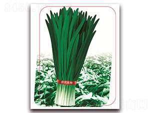 �փ�(y��u)ѩ��һ̖-�~�˷N��-����(y��u)�r(n��ng)�I(y��)