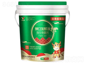 膨果靚果型納豆發(fā)酵液-軒轅牛