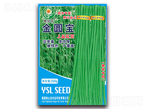 ���A��-�����N��-ӳɽ��