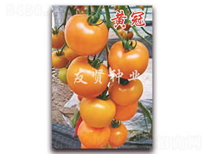 �S��-�Sɫ���ѷN��-���t�N�I(y��)