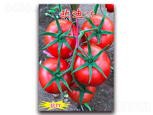 �W��2̖-�tɫ���ѷN��-���t�N�I(y��)