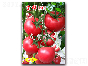 ����1601-��ɫ���ѷN��-���t�N�I(y��)