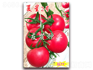 ����2̖-��ɫ���ѷN��-���t�N�I(y��)