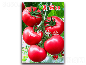 ����88-��ɫ���ѷN��-���t�N�I(y��)