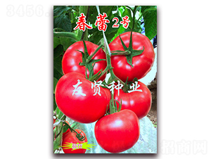 ����2̖-��ɫ���ѷN��-���t�N�I(y��)