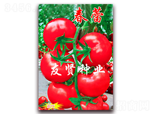 ����-��ɫ���ѷN��-���t�N�I(y��)