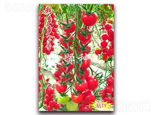 �۶��2̖-��TY��������С���ѷN��-���t�N�I(y��)