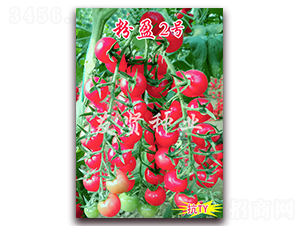 ��ӯ2̖-��TY��������С���ѷN��-���t�N�I(y��)