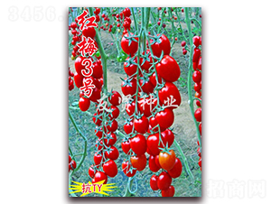 �t÷3̖-��TY��������С���ѷN��-���t�N�I(y��)