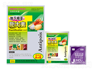 地下膨大素-圣氏潤