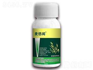 3%�p�������ͪ-�����e-�S�՘�(l��)