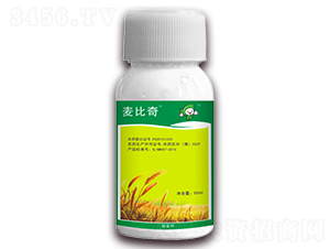 15%Ȳ����-������-�S�՘�(l��)