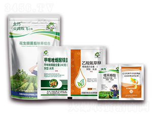 �����������ݽM��-����p�w��̖(h��o)-�S�՘�(l��)