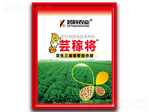花生三遍套餐組合袋-蕓稼將-蕓科農(nóng)業(yè)