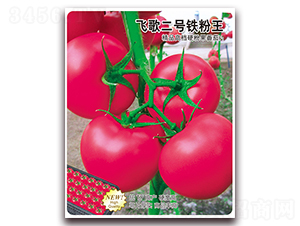 飛歌二號鐵粉王-番茄種子-飛歌農(nóng)業(yè)