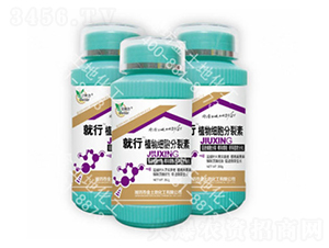 ֲ�：��������-����-������ 